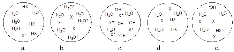 Each circle is a sample of an aqueous acidic or basic solution.Which solution contains a weak acid?   A)  figure a B)  figure b C)  figure c D)  figure d E)  figure e