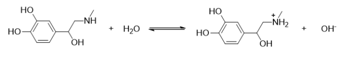 Which statement BEST describes the following reaction?   A)  This is the reaction of a strong acid. B)  This is the reaction of a weak acid. C)  This reaction is the dissociation of a strong base. D)  This is the reaction of a weak base. E)  This is not an acid-base reaction.