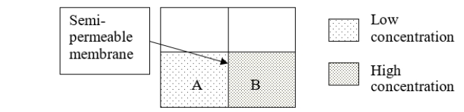 Consider solutions A and B separated by a semipermeable membrane.After osmosis occurs, A is ______ and B is ______.   A)  hypotonic; hypertonic B)  hypertonic; hypotonic C)  A and B are isotonic D)  A and B are both hypotonic E)  A and B are both hypertonic