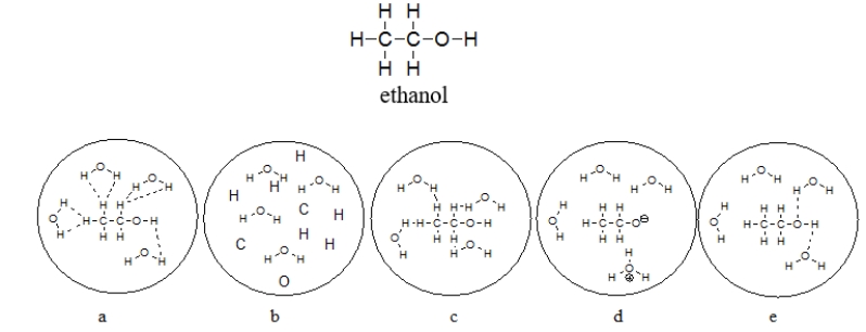 Which picture BEST represents ethanol dissolved in water? Note that dashed lines represent hydrogen bonds.   A)  diagram a B)  diagram b C)  diagram c D)  diagram d E)  diagram e