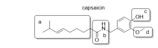 Capsaicin is responsible for the heat of peppers.It is common practice to fry capsaicin in oil prior to eating.Which part of the capsaicin molecule forms an intermolecular attractive force with oil, a nonpolar solvent?   A)  a B)  b C)  c D)  d E)  All of these interact with oil.