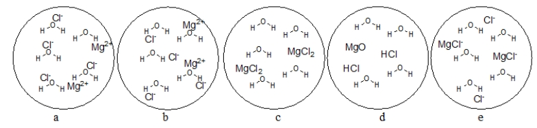 Which figure BEST represents the dissolution of MgCl<sub>2</sub> in water?   ​ A)  diagram a B)  diagram b C)  diagram c D)  diagram d E)  diagram e