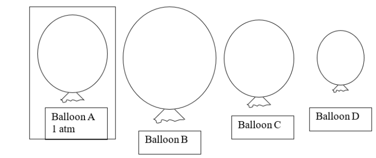 Balloon A is placed into a container that has a higher pressure than atmospheric pressure.Which balloon would you predict to be the new size of balloon A?   A)  balloon B B)  balloon C C)  balloon D D)  either balloon B or D E)  either balloon B or C