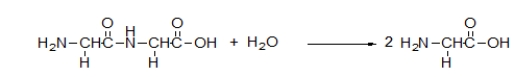 What is the meaning of the arrow in the following chemical equation?   A)  The reaction mixture increases in temperature. B)  A product is substituted for a reactant. C)  The reactants collide. D)  The reactants are transformed into the products. E)  The reaction is heated.