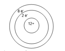 An atom of magnesium is shown below.The charge on this ion is _______ making the ion a _______.   A)  -10; anion B)  -2; anion C)  -2; cation D)  + 2; anion E)  + 2; cation
