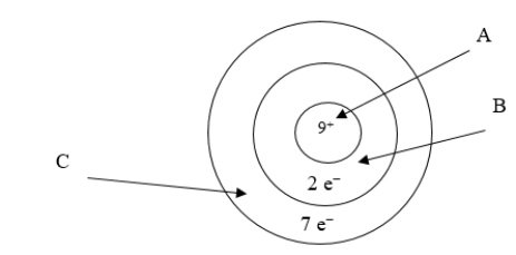 Below is an illustration of an atom of fluorine.Which arrow points to the part of the atom involved in bonding?   A)  A B)  B C)  C D)  Both B and C point to the correct part of the atom. E)  None of the above is involved in bonding.