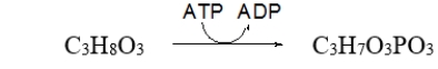 Which term describes the role of ATP in this reaction?   A)  The hydrolysis of ATP is inhibiting this reaction. B)  The hydrolysis of ATP is a catalyst for this reaction. C)  The hydrolysis of ATP is regulating this reaction. D)  The hydrolysis of ATP is coupled to this reaction. E)  All of the above describe the role of ATP.