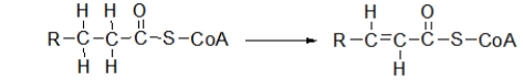 The first step of β-oxidation is shown below.What type of reaction is this?   A)  oxidation B)  reduction C)  hydration D)  hydrolysis E)  hydrogenation