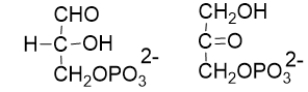 What is the relationship between the following two intermediates in glycolysis?   A)  They are identical. B)  They are conformers. C)  They are enantiomers. D)  They are constitutional isomers. E)  They are diastereomers.