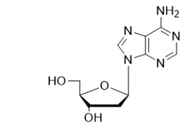 The nucleoside below is found in DNA and not RNA.Which of the following statements supports this molecule being a DNA nucleoside?   A)  The molecule is the β-anomer. B)  The molecule contains a pyrimidine. C)  The molecule contains a purine. D)  The molecule contains a 2-deoxy-D-ribose. E)  The molecule contains a D-ribose.