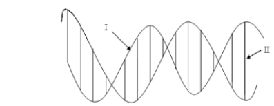 In the following drawing of a DNA double helix, arrow II is pointing to a(n)    A)  DNA base pair. B)  ionic bond. C)  sugar phosphate backbone. D)  polar covalent bond. E)  hydrophilic interaction.