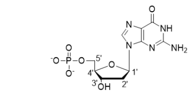 Which carbon is the anomeric carbon?   A)  1' B)  2' C)  3' D)  4' E)  5'