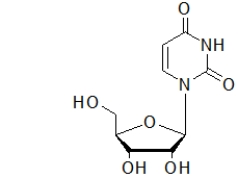 The molecule below is found in   A)  DNA. B)  protein. C)  steroids. D)  RNA. E)  starch.
