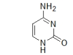 The molecule below is a(n)    A)  nitrogenous base. B)  nucleotide. C)  nucleoside. D)  amino acid. E)  purine.