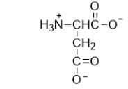 How is the following amino acid classified?   A)  nonpolar B)  polar neutral C)  polar acidic D)  polar basic E)  None of the above is a correct classification.