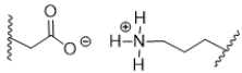<strong>During acidosis of a protein, shown below, salt bridges are broken, resulting in denaturation.Which choice shows the products of acidosis? </strong> A) B) C) D) E)