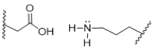 <strong>During acidosis of a protein, shown below, salt bridges are broken, resulting in denaturation.Which choice shows the products of acidosis? </strong> A) B) C) D) E)