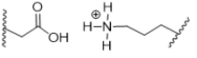 <strong>During acidosis of a protein, shown below, salt bridges are broken, resulting in denaturation.Which choice shows the products of acidosis? </strong> A) B) C) D) E)