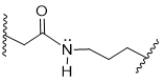 <strong>During acidosis of a protein, shown below, salt bridges are broken, resulting in denaturation.Which choice shows the products of acidosis? </strong> A) B) C) D) E)