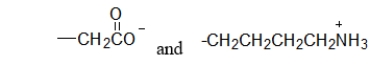 What type of interaction would you expect between the following -R groups in the tertiary structure of a protein?   A)  hydrogen bonds B)  hydrophobic interactions C)  peptide bonds D)  disulfide bonds E)  salt bridges