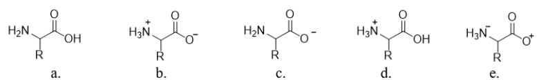 <strong>Which structure illustrates an amino acid at physiological pH? </strong> A) structure a B) structure b C) structure c D) structure d E) structure e