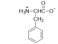 <strong>How is the following amino acid classified? </strong> A) nonpolar B) polar neutral C) polar acidic D) polar basic E) None of the above is a correct classification.