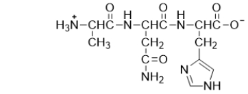 <strong>Is the peptide shown below chiral? </strong> A) No, molecules with multiple chiral centers are not chiral. B) Yes, it has chiral centers. C) No, it has no chiral centers. D) Yes, it has no chiral centers. E) It is not possible to determine whether or not the peptide is chiral.