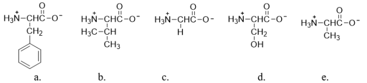 <strong>Which of the amino acids does NOT contain a chiral carbon? </strong> A) amino acid a B) amino acid b C) amino acid c D) amino acid d E) amino acid e
