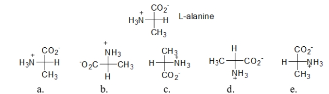 Which structure is the enantiomer of L-alanine?   A)  structure a B)  structure b C)  structure c D)  structure d E)  structure e
