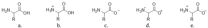 <strong>Which structure illustrates an amino acid as a zwitterion? </strong> A) structure a B) structure b C) structure c D) structure d E) structure e