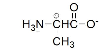 The carbon with a smiley face over it is a(n)    A)  beta carbon. B)  anomeric carbon. C)  chirality center. D)  secondary amine. E)  peptide bond.