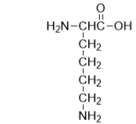 The structure of lysine is shown below.What is the overall charge on lysine at physiological pH?   A)  +2 B)  +1 C)  0 D)  -1 E)  -2
