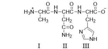Which of the amino acids in the following structure are at the N-terminus?   A)  All of them at the N-terminus. B)  I only C)  III only D)  II and III E)  I and III