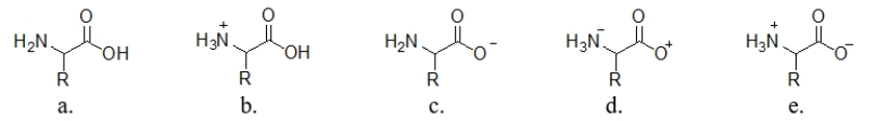 Which structure illustrates an amino acid in a solution with a high pH?   A)  structure a B)  structure b C)  structure c D)  structure d E)  structure e