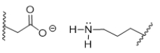During alkalosis of a protein, shown below, salt bridges are broken, resulting in denaturation.Which choice shows the products of alkalosis?   A)    B)    C)    D)    E)   