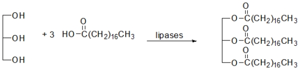 <strong>Which of the following reactions illustrate the hydrolysis of triacylglycerols during digestion?</strong> A) B) C) D) E) All of the above can occur.