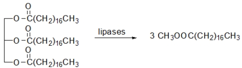 <strong>Which of the following reactions illustrate the hydrolysis of triacylglycerols during digestion?</strong> A) B) C) D) E) All of the above can occur.