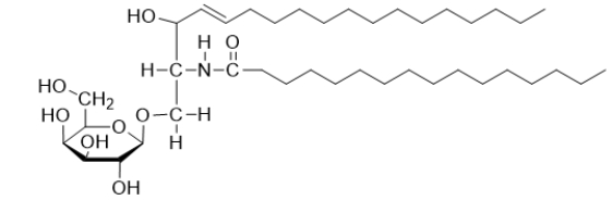 What type of lipid is this molecule?   A)  This is a triacylglycerol. B)  This is a glycerophospholipid. C)  This is a glycosphingolipid. D)  This is a sphingomyelin. E)  This is an ethanolamine.