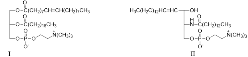 Lipid II contains which of the following functional groups not found in lipid I?   A)  amide B)  alcohol C)  alkene D)  amide and alcohol E)  amide, alcohol, and alkene
