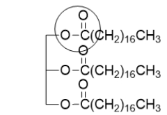 The functional group that is circled is called a(n)    A)  ester. B)  ether. C)  carboxylic acid. D)  carbonyl. E)  ketone.