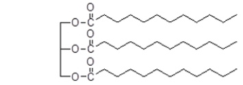 Identify the class of lipid to which the following molecule belongs.   A)  eicosanoid B)  triacylglycerol C)  steroid D)  glycerophospholipid E)  fatty acid