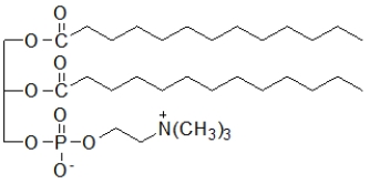 Which molecule is an eicosanoid? A)    B)  CH<sub>3</sub>(CH<sub>2</sub>) <sub>16</sub>COO<sup>-</sup>Na<sup>+</sup> C)  CH<sub>3</sub>(CH<sub>2</sub>) <sub>16</sub>COO(CH<sub>2</sub>) <sub>11</sub>CH<sub>3</sub> D)    E)   