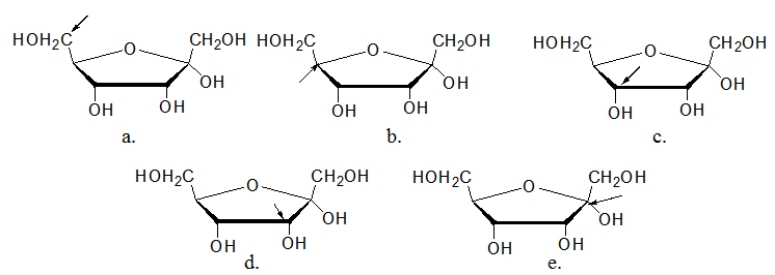 In which of the following Haworth projections is the arrow pointing to the anomeric carbon?   A)  structure a B)  structure b C)  structure c D)  structure d E)  structure e