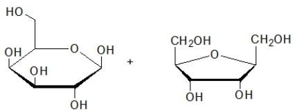<strong>What is the product(s)of the hydrolysis of the following sugar? </strong> A) B) C) D) E)