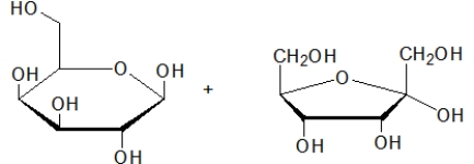 <strong>What is the product(s)of the hydrolysis of the following sugar? </strong> A) B) C) D) E)