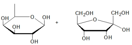 <strong>What is the product(s)of the hydrolysis of the following sugar? </strong> A) B) C) D) E)