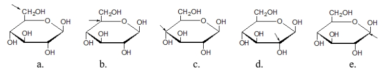 <strong>In which of the following Haworth projections is the arrow pointing to the anomeric carbon? </strong> A) structure a B) structure b C) structure c D) structure d E) structure e