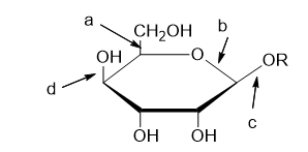 <strong>Which arrow is pointing to a glycosidic bond? </strong> A) a only B) b only C) c only D) b and c E) b, c, and d