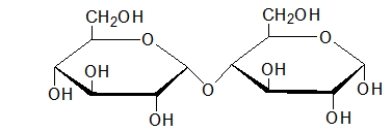 <strong>The figure below illustrates a(n) </strong> A) monosaccharide. B) simple sugar. C) disaccharide. D) polysaccharide. E) oligosaccharide.