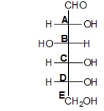 Which carbon determines whether the sugar below is D- or L-?   A)  carbon A B)  carbon B C)  carbon C D)  carbon D E)  carbon E